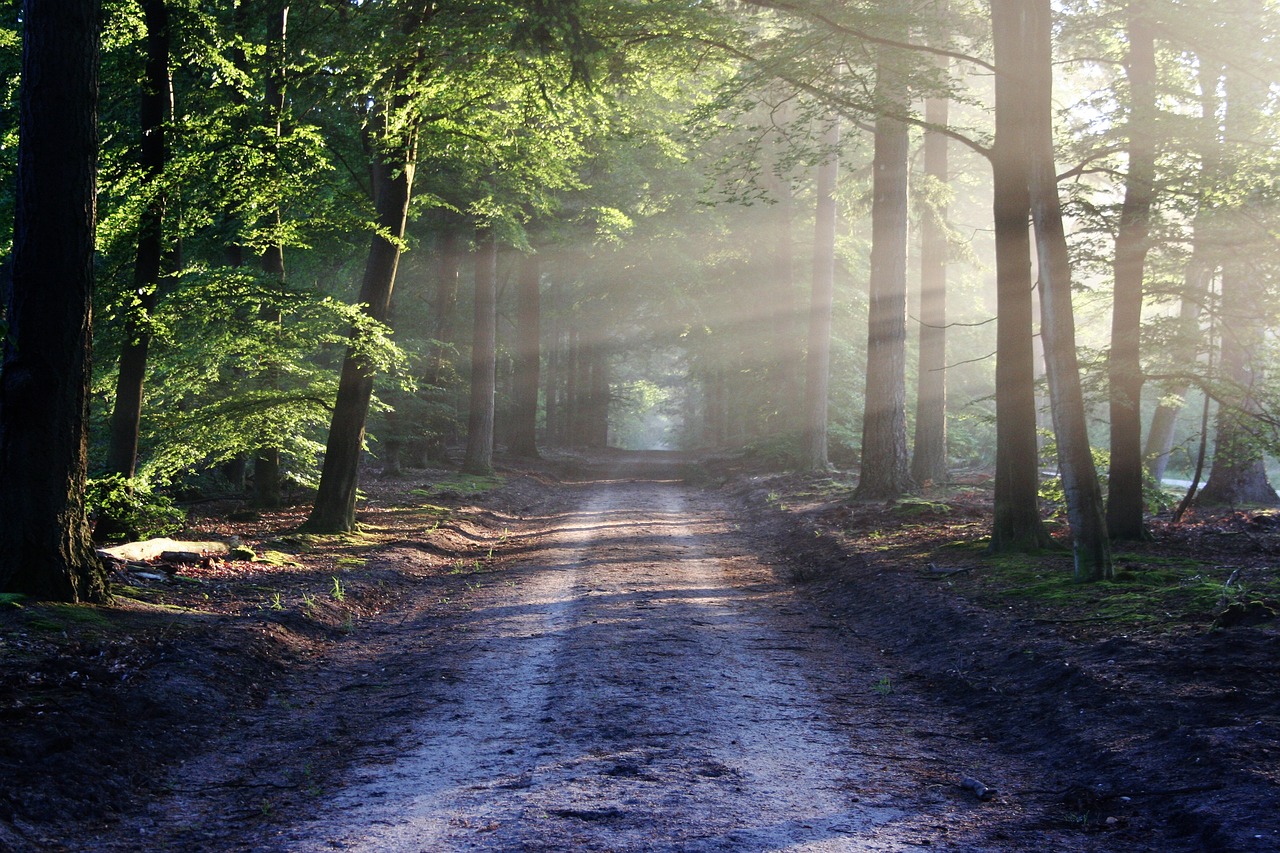 How Climate Change is Affecting Hiking Trails